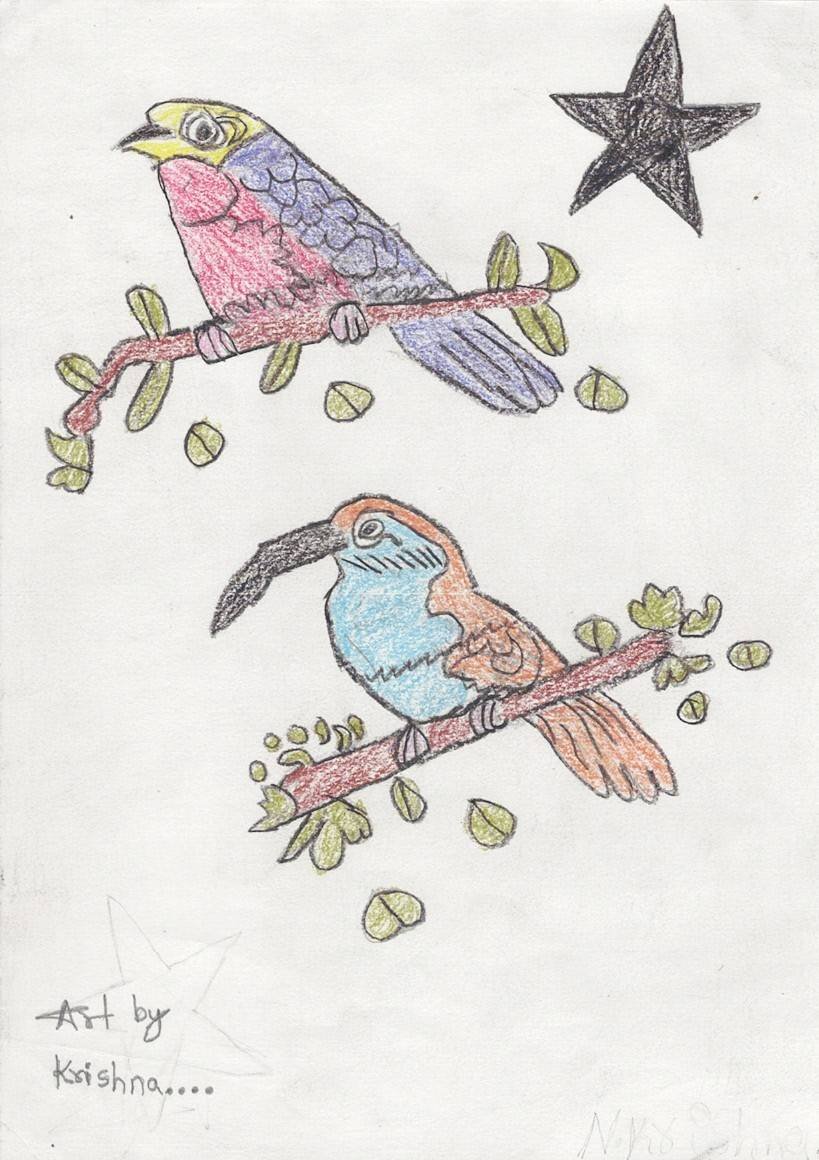 Krishna’s Birds in Balance.