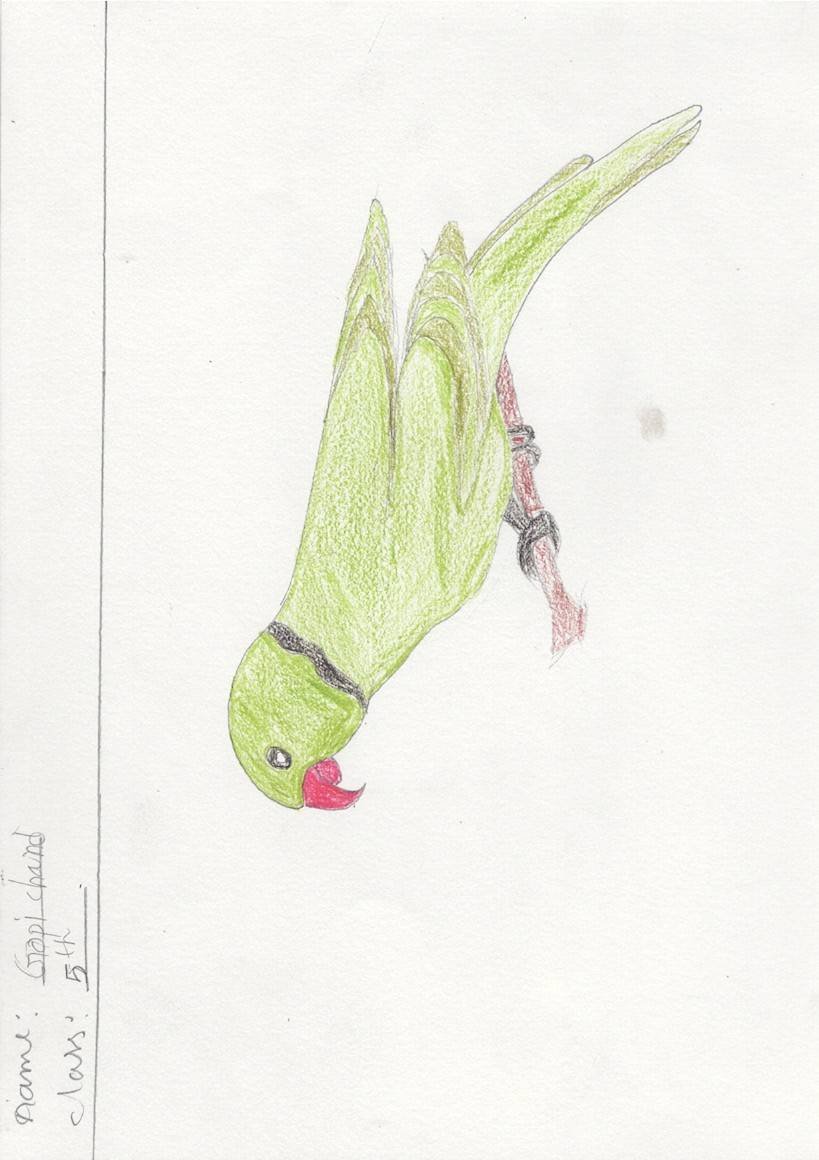 Gopichand’s Green Whisper.